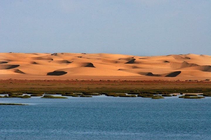 Le Parc National de Khnifiss : Quand le Sahara Révèle son Oasis Secrète 3 Le Parc National de Khnifiss
