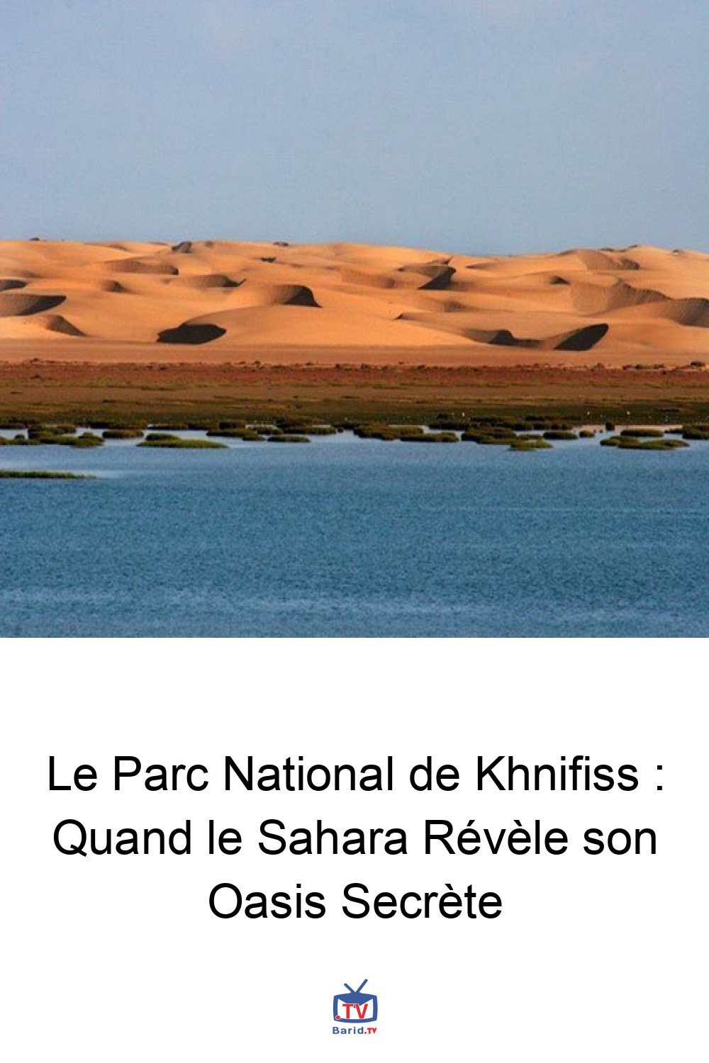 Le Parc National de Khnifiss : Quand le Sahara Révèle son Oasis Secrète 4 Pinterest Hidden