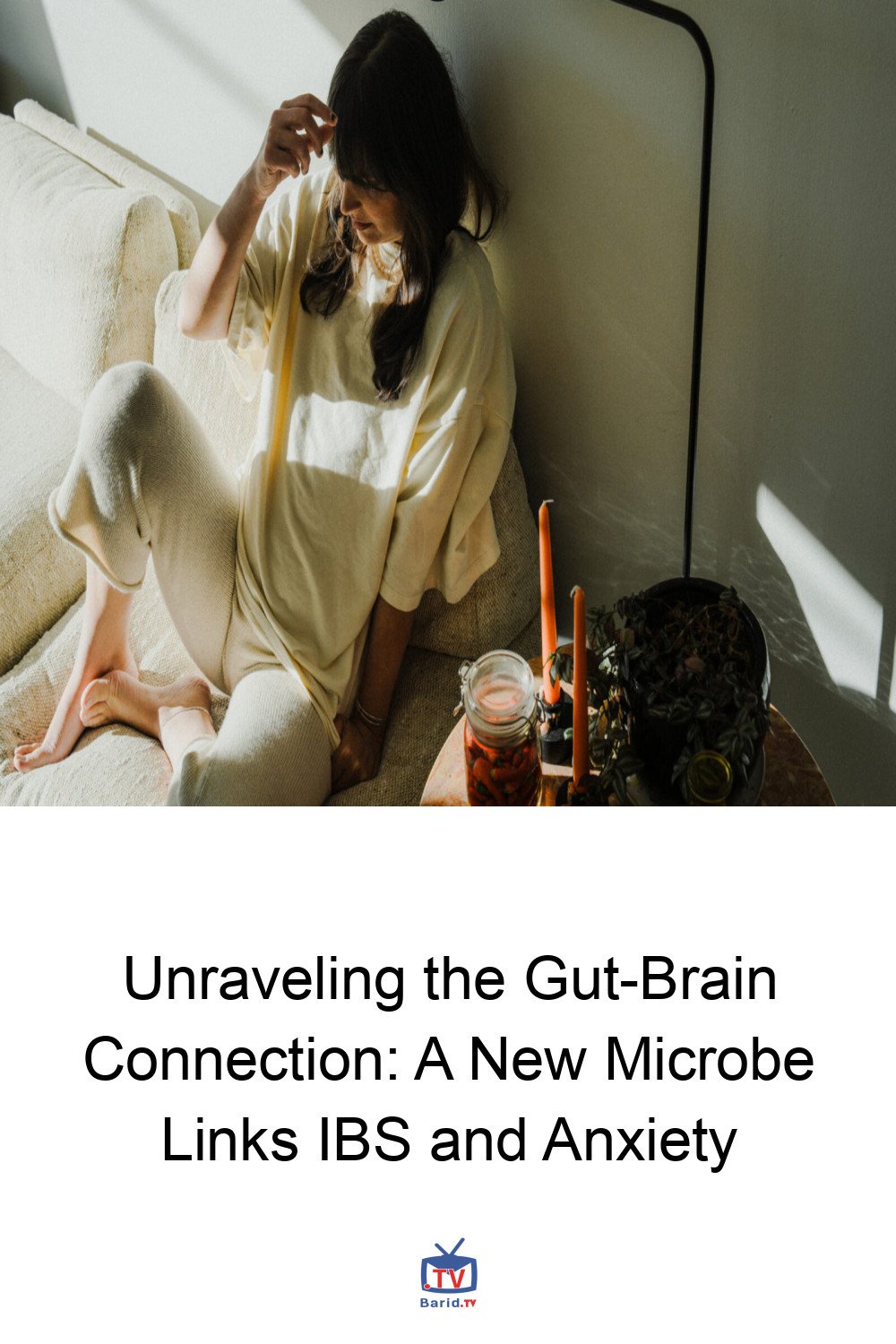 Unraveling the Gut-Brain Connection: A New Microbe Links IBS and Anxiety 4 Pinterest Hidden