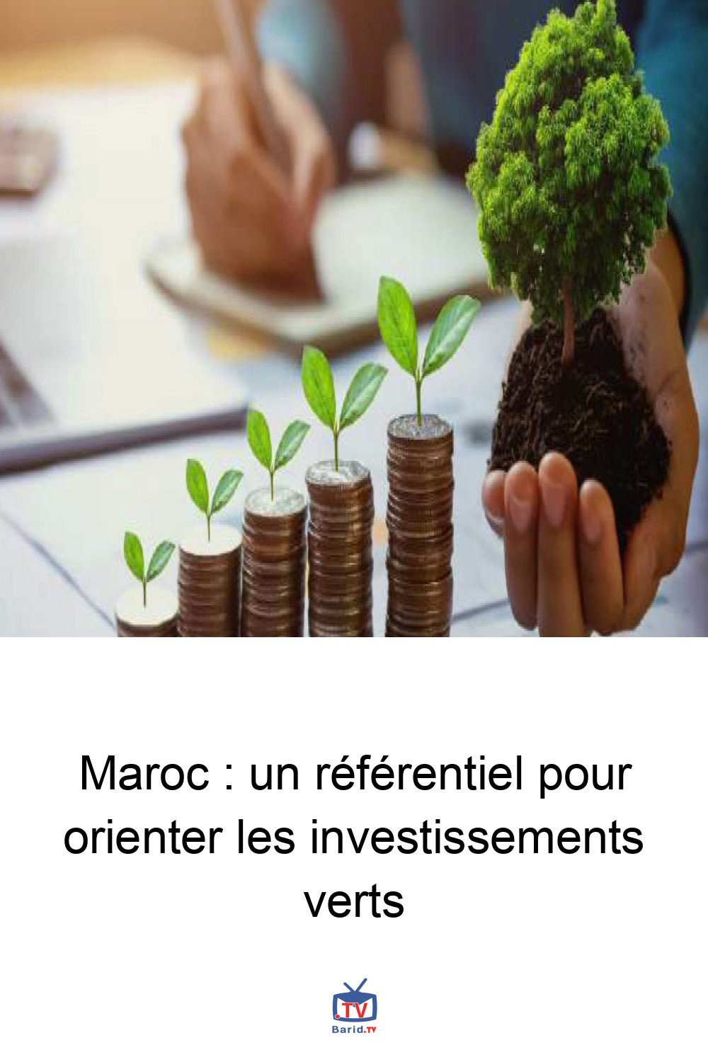 Maroc : un référentiel pour orienter les investissements verts 4 Pinterest Hidden
