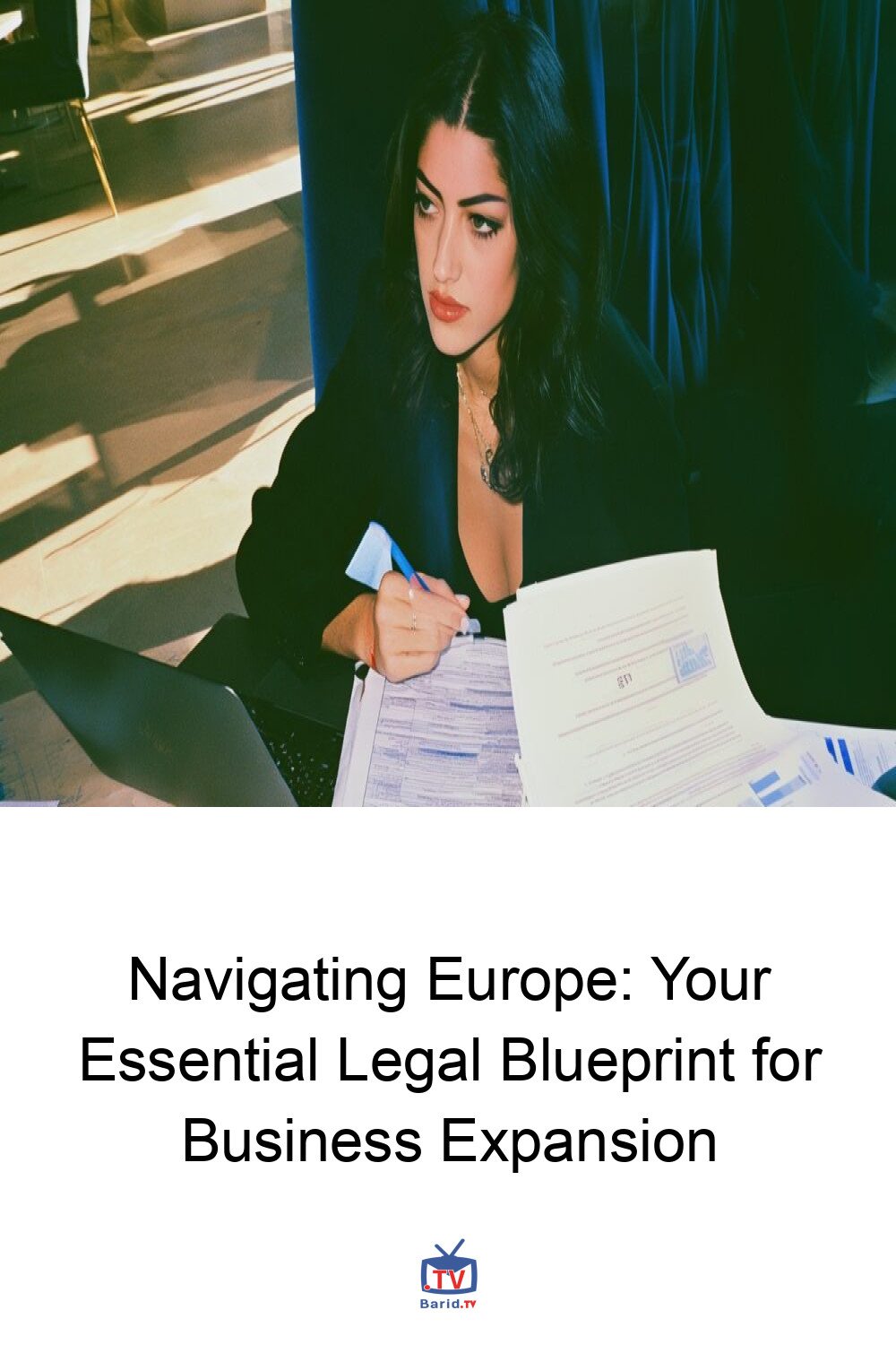 Navigating Europe: Your Essential Legal Blueprint for Business Expansion 4 Pinterest Hidden