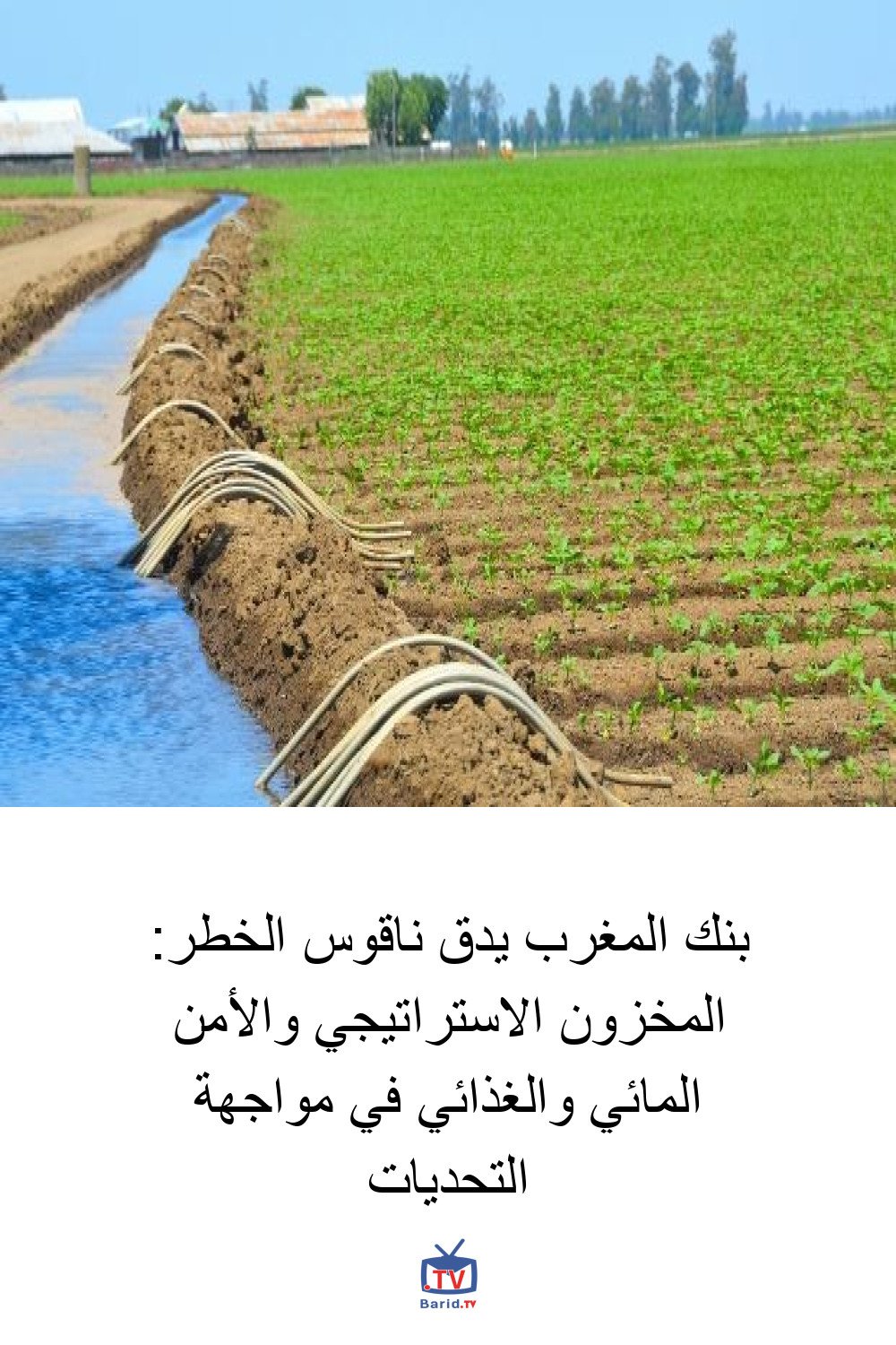 بنك المغرب يدق ناقوس الخطر: المخزون الاستراتيجي والأمن المائي والغذائي في مواجهة التحديات 4 Pinterest Hidden