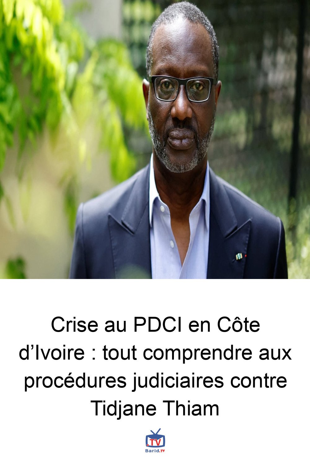 Crise au PDCI en Côte d’Ivoire : tout comprendre aux procédures judiciaires contre Tidjane Thiam 4 Pinterest Hidden