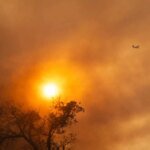 Vue aérienne d'une forêt après un incendie, avec des zones noircies et de la fumée résiduelle, symbolisant la maîtrise du feu.