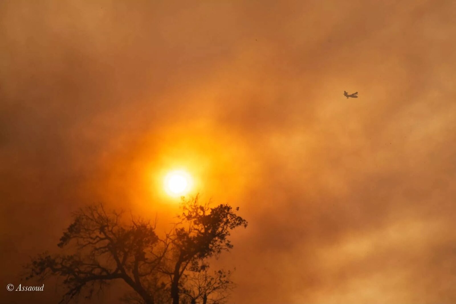 Vue aérienne d'une forêt après un incendie, avec des zones noircies et de la fumée résiduelle, symbolisant la maîtrise du feu.