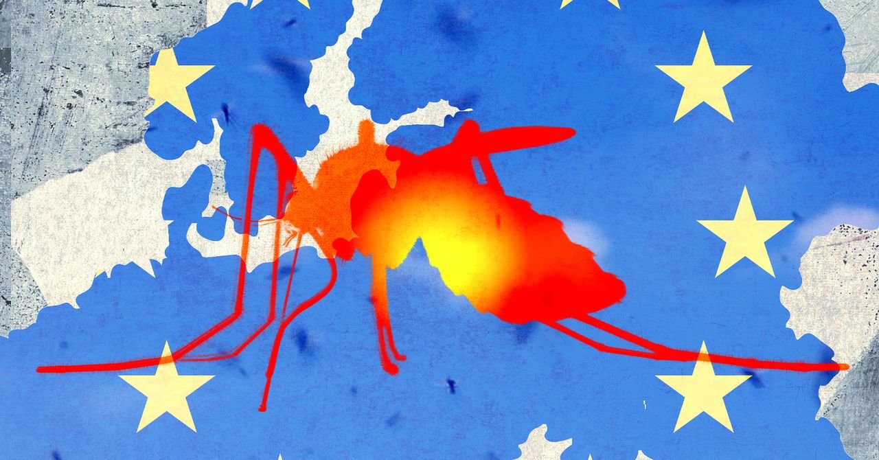 An Asian tiger mosquito (Aedes albopictus) on human skin, symbolizing the spread of tropical diseases in Europe.