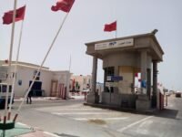 منظر عام لميناء العيون يظهر سفن الصيد التقليدي والساحلي ونشاط التفريغ