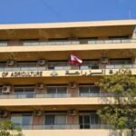 صورة تظهر صيادين لبنانيين في قوارب صيد تقليدية على شاطئ البحر الأبيض المتوسط، مع إشارة إلى أهمية قطاع الصيد.