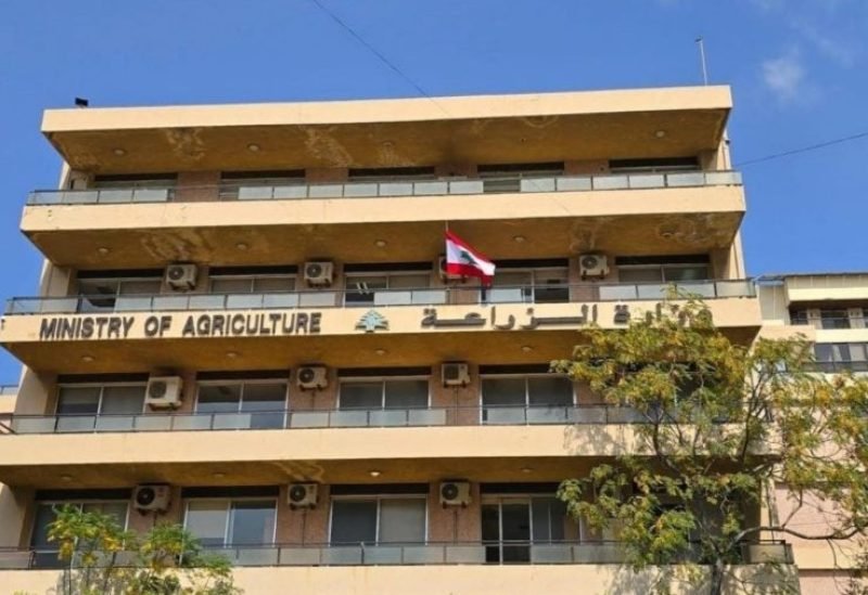 صورة تظهر صيادين لبنانيين في قوارب صيد تقليدية على شاطئ البحر الأبيض المتوسط، مع إشارة إلى أهمية قطاع الصيد.