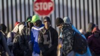 Expulsion migrants Cameroun