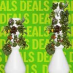 A vibrant, multi-tiered indoor hydroponic garden (Lettuce Grow Farmstand) flourishing with various leafy greens and herbs in a living room setting.