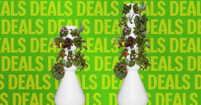 A vibrant, multi-tiered indoor hydroponic garden (Lettuce Grow Farmstand) flourishing with various leafy greens and herbs in a living room setting.