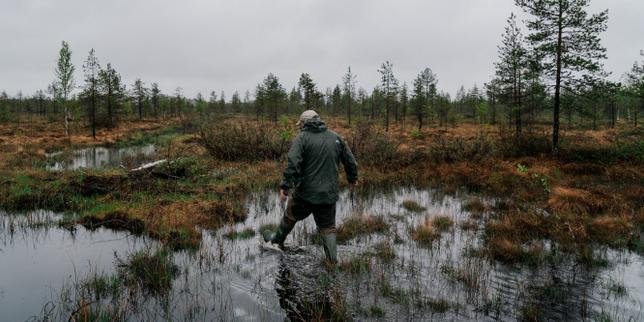 Le 'réensauvagement défensif' : comment la Finlande transforme ses tourbières en bouclier anti-chars russes 9 Le 'réensauvagement défensif' : comment