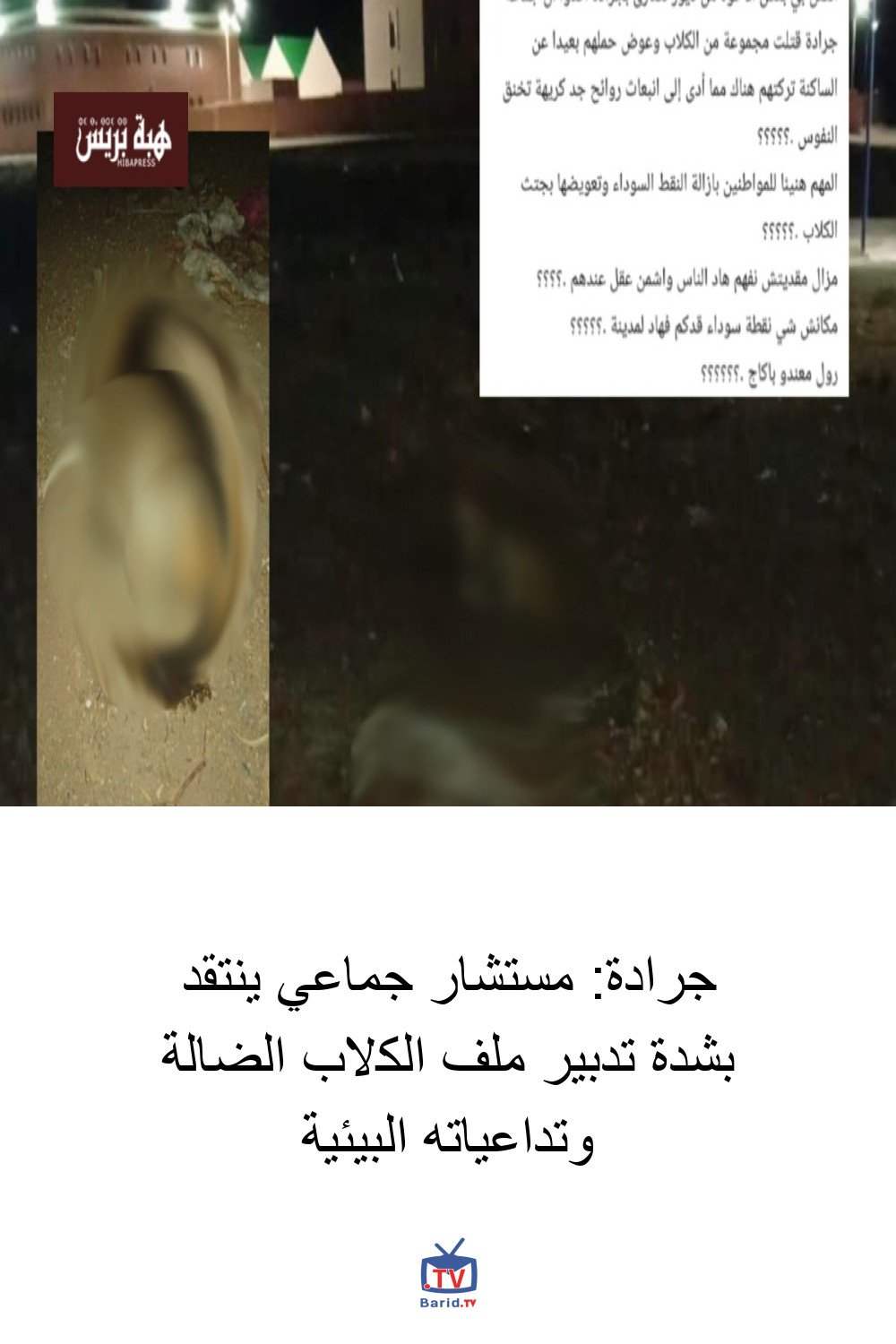 جرادة: مستشار جماعي ينتقد بشدة تدبير ملف الكلاب الضالة وتداعياته البيئية 4 Pinterest Hidden