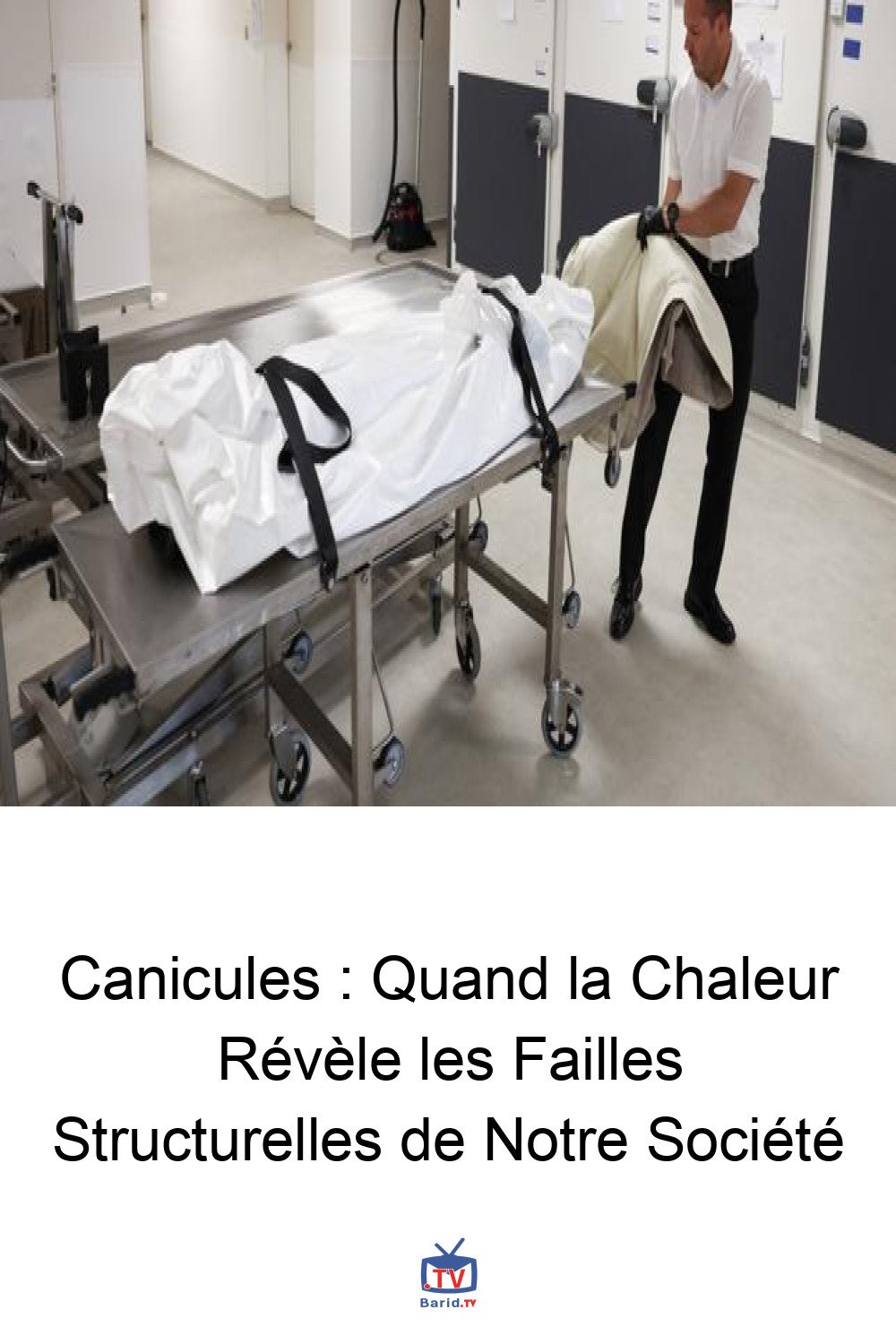Canicules : Quand la Chaleur Révèle les Failles Structurelles de Notre Société 4 Pinterest Hidden