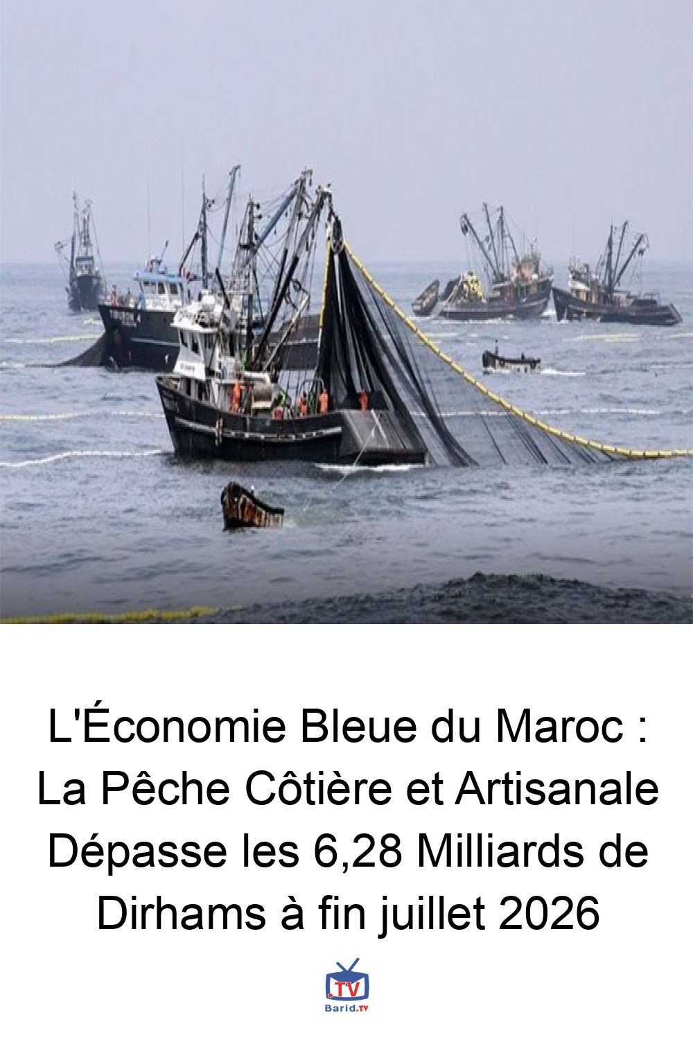 L'Économie Bleue du Maroc : La Pêche Côtière et Artisanale Dépasse les 6,28 Milliards de Dirhams à fin juillet 2026 4 Pinterest Hidden