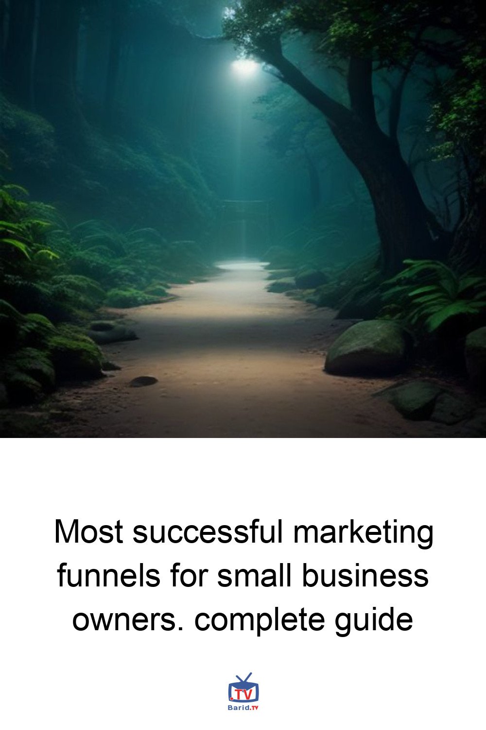 Most successful marketing funnels for small business owners. complete guide 4 Pinterest Hidden