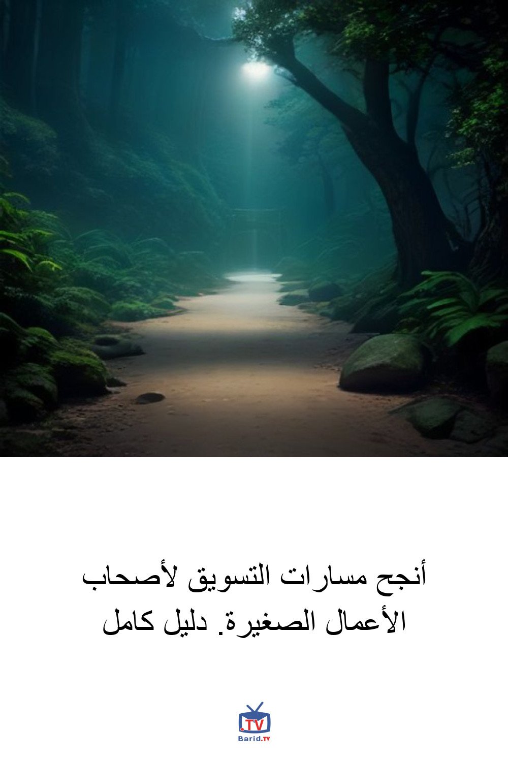 أنجح مسارات التسويق لأصحاب الأعمال الصغيرة. دليل كامل 4 Pinterest Hidden