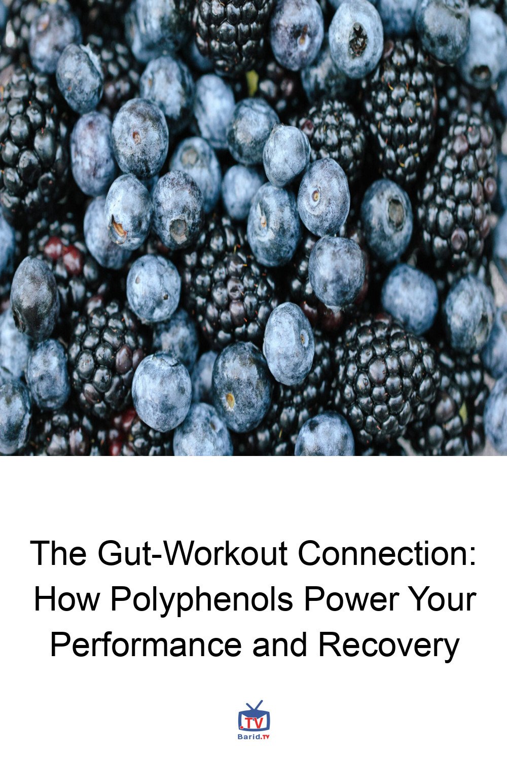 The Gut-Workout Connection: How Polyphenols Power Your Performance and Recovery 4 Pinterest Hidden