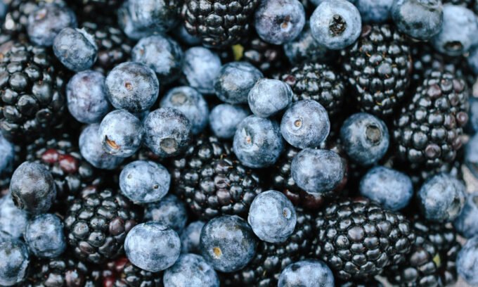 A vibrant assortment of polyphenol-rich foods like berries, coffee, and cocoa, symbolizing gut health and exercise recovery.