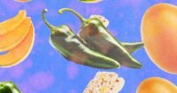 Various food items like jalapeños, eggs, and granola with a warning sign, symbolizing a Salmonella outbreak and food recall.
