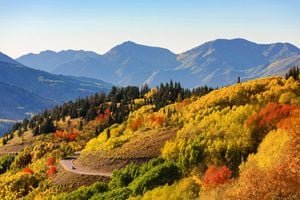 A vibrant autumn cityscape with colorful trees and bustling streets, representing the best US cities for fall travel.