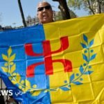 صورة لعلم منطقة القبائل، يرمز إلى الهوية الأمازيغية وتطلعات الحركة.
