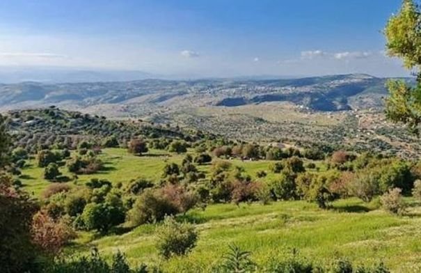 خريطة طقس الأردن توضح درجات الحرارة والغيوم والرياح المتوقعة