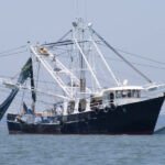 Vue d'un port de pêche marocain avec des bateaux et des caisses de poissons