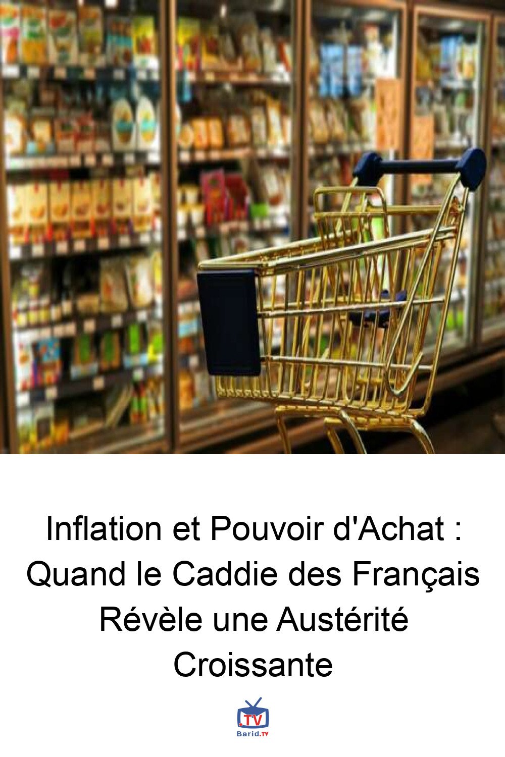 Inflation et Pouvoir d'Achat : Quand le Caddie des Français Révèle une Austérité Croissante 4 Pinterest Hidden