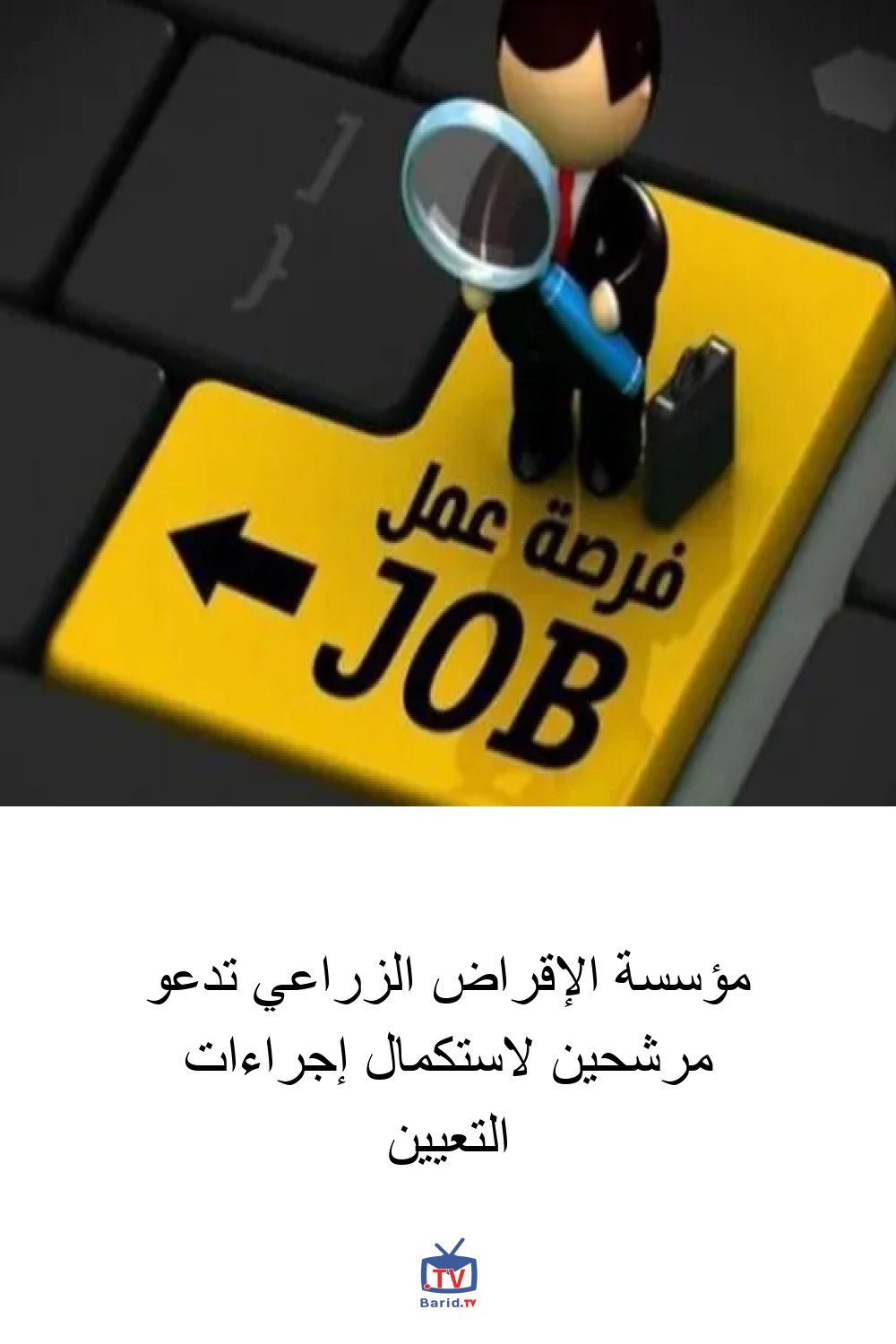 مؤسسة الإقراض الزراعي تدعو مرشحين لاستكمال إجراءات التعيين 4 Pinterest Hidden