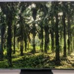 Vue d'ensemble des téléviseurs TCL 65C9K, 65C7K et NXTVision 55A300 Pro, illustrant leur design élégant et leurs écrans lumineux.