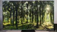Vue d'ensemble des téléviseurs TCL 65C9K, 65C7K et NXTVision 55A300 Pro, illustrant leur design élégant et leurs écrans lumineux.