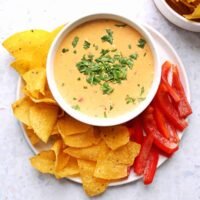 A vibrant bowl of creamy Rotel Cheese Dip, garnished with fresh cilantro, surrounded by crispy tortilla chips, ready for a party.