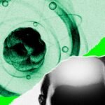Artificial intelligence neural network visualizing scientific data and equations, symbolizing AI's expansion into scientific research.