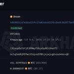 A large digital whale swimming through a sea of Bitcoin symbols, representing a major holder of the cryptocurrency.