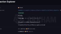 A large digital whale swimming through a sea of Bitcoin symbols, representing a major holder of the cryptocurrency.