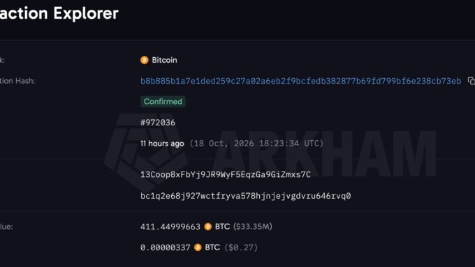 A large digital whale swimming through a sea of Bitcoin symbols, representing a major holder of the cryptocurrency.