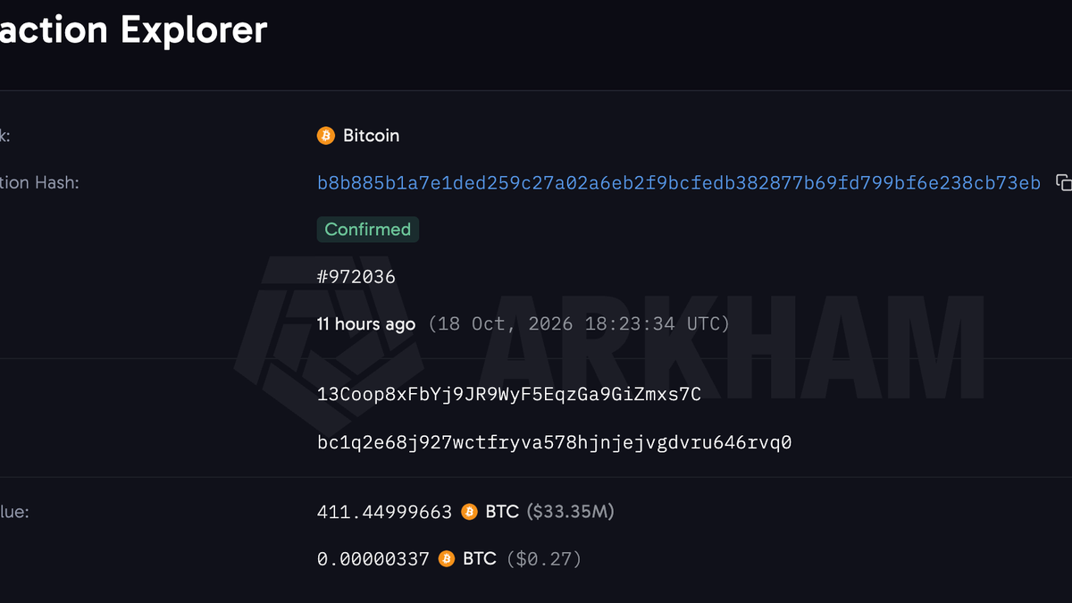 A large digital whale swimming through a sea of Bitcoin symbols, representing a major holder of the cryptocurrency.