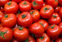 Un étal de marché de gros débordant de légumes et de fruits frais, avec des caisses de tomates et d'agrumes, symbolisant la fluctuation des prix à Casablanca.