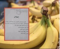 صورة توضيحية للموز في سوق جزائري مع وثائق إدارية