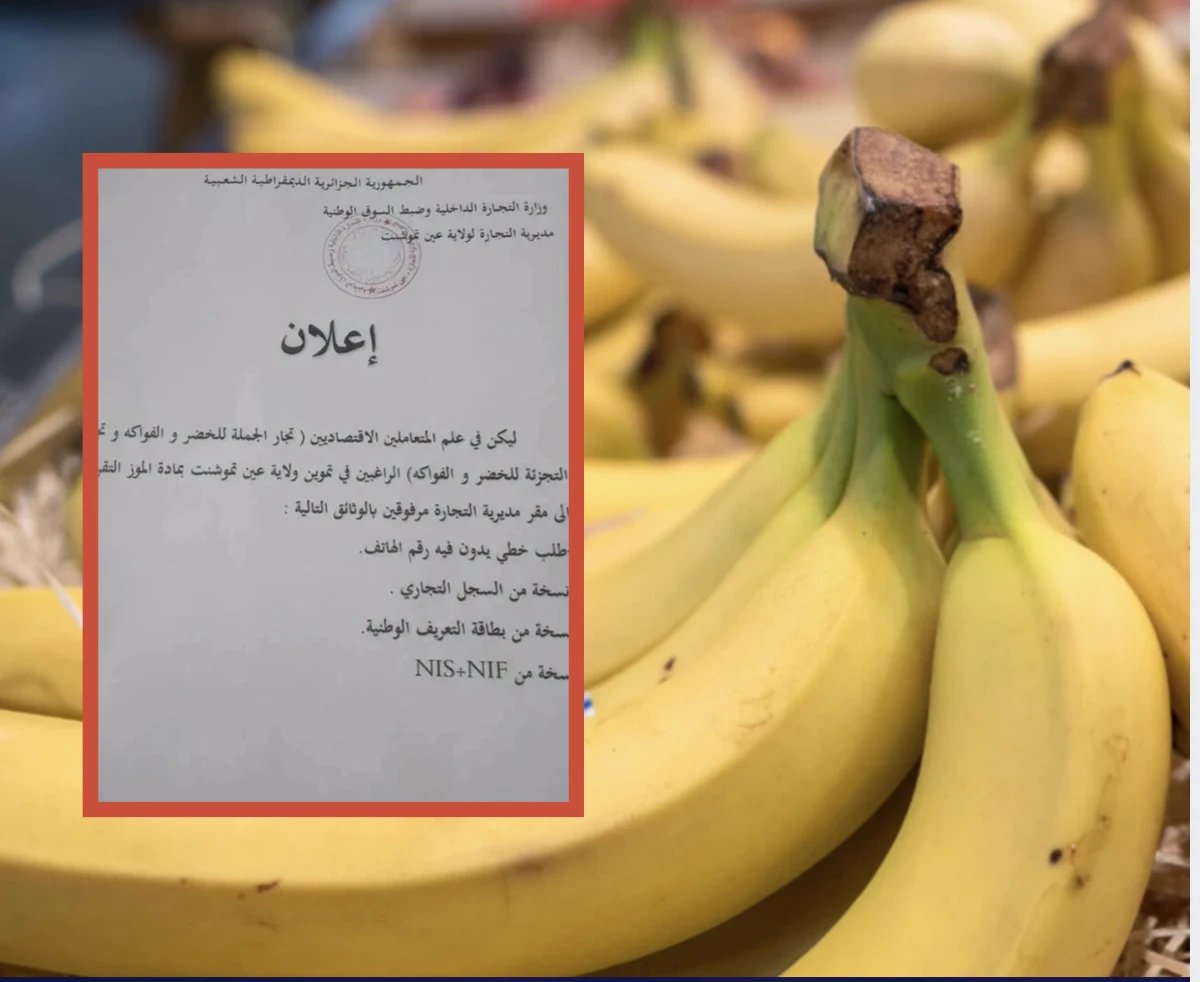 أزمة الموز في الجزائر: وثائق إدارية لفاكهة استهلاكية وأسعار قياسية تثير الجدل 3 صورة توضيحية للموز في سوق جزائري مع وثائق إدارية