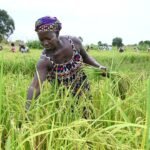 inflation alimentaire Afrique de l'Ouest