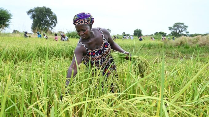 inflation alimentaire Afrique de l'Ouest