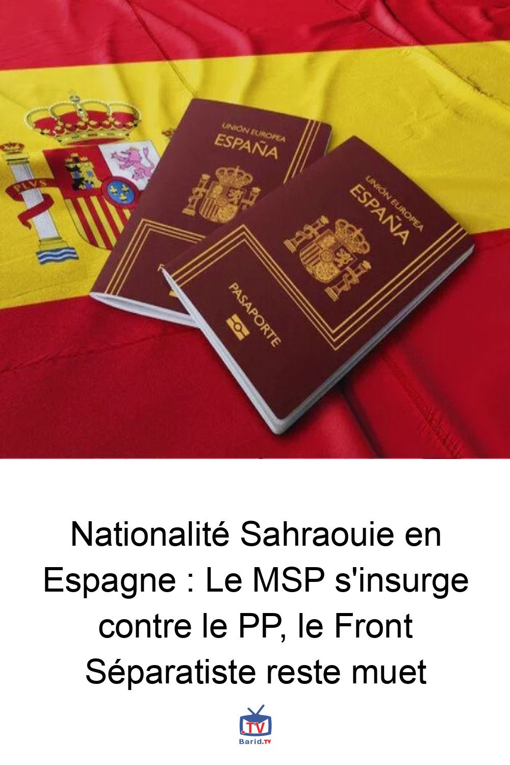 Nationalité Sahraouie en Espagne : Le MSP s'insurge contre le PP, le Front Séparatiste reste muet 4 Pinterest Hidden