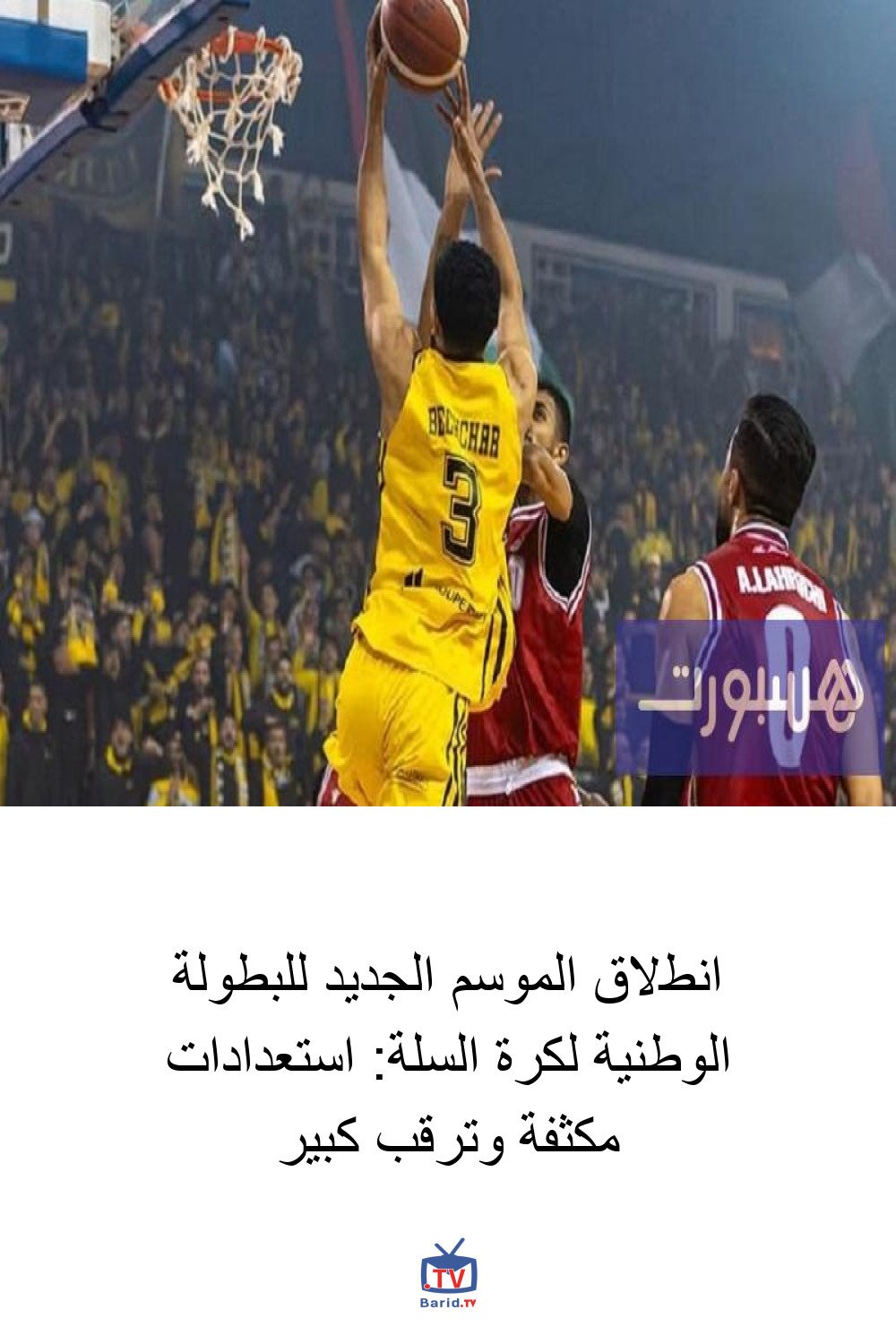 انطلاق الموسم الجديد للبطولة الوطنية لكرة السلة: استعدادات مكثفة وترقب كبير 4 Pinterest Hidden