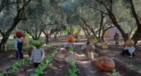 Vue panoramique du parc artistique Ramakech à Marrakech, avec des sculptures géantes et des architectures démesurées sous le soleil de la Palmeraie.