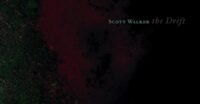 Album cover for Scott Walker's 'The Drift' featuring abstract imagery